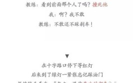 形容学车难的搞笑句子说说(教练快干喜鹊学车我好)