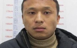 宾川县公安局交通警察大队关于举报严重交通违法行为的通告(举报举报人宾川交通违法行为)