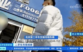 提车找“黄牛”后果挺严重(订单坦克车辆消费者新车)