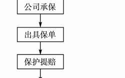 保护自己的权益(自己的保险公司流程新手必看)