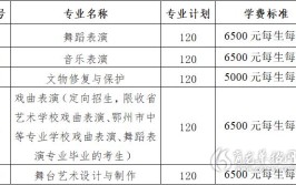 湖北艺术职业学院中外合作办学专业有哪些？