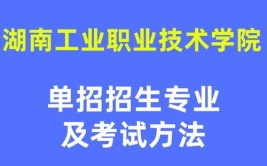 湖南工业职业技术学院中外合作办学专业有哪些？