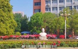 南阳医学高等专科学校是虚假大学吗