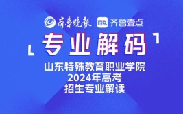 山东特殊教育职业学院是公办还是民办大学？