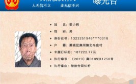 要命有一条”？面对老赖口出狂言他们这么做(执行法院被执行人直播万元)