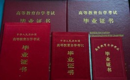 自学考试和函授文凭被国家认可吗