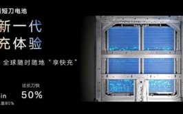 神盾短刀、刀片、麒麟电池如何选？(电池锂电池磷酸新能源麒麟)