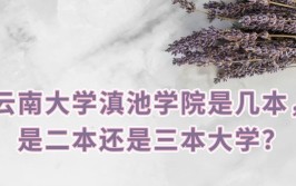 2024年云南大学滇池学院是二本还是三本学校