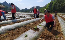 库尔勒市恰尔巴格乡：齐心协力修水管 排忧解难为村民(村民工作队自来水排忧解难管道)