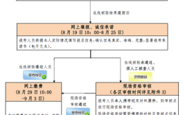 执业药师考后审核流程是什么