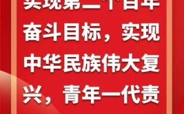 实现第二个百年奋斗目标分为哪两个阶段