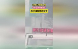 视频｜出租车显示屏现“我被打劫请报警”多因误触按钮或系统错误所致(出租车报警打劫显示屏系统)