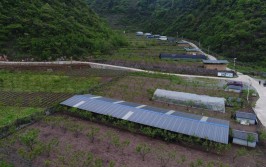 隆安县推行微生物生态养殖惠乡村