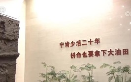 奋斗百年路 启航新征程·中国共产党人的精神谱系丨奋斗的红旗永不褪色——大庆精神述评(大庆精神铁人大庆油田石油)