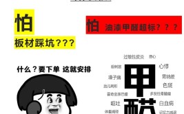 环保能否成为突围之道？(环保家居定制板材甲醛)