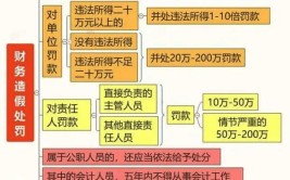 会计法实施细则是什么