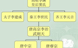 唐高宗李治为何会喜欢李世民的才人、贰婚的武则天？有3个原因(武则天皇后高宗长孙太宗)