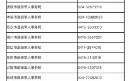 朝阳师范高等专科学校2020年单独招生第二阶段（高职扩招专项）报考指南(朝阳高职扩招考生招生)