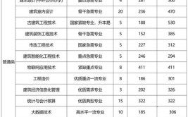 重庆艺术工程职业学院招生专业及最好的专业有哪些