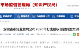 安徽省公布2020年度打击侵权假冒典型案例(假冒万元侵权涉案公安机关)