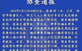 折回现场“看情况”被汝州交警识破(逃逸肇事民警事发折回)