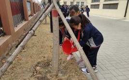 护一棵小树 绿一方净土怡康学校开展植树节系列活动