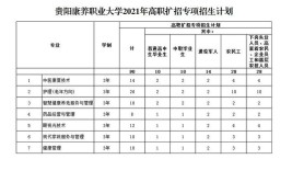 贵阳康养职业大学有专科专业吗