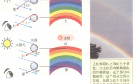 彩虹的形成与空气中的什么有关