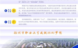 扬州市职业大学是本科还是专业院校？