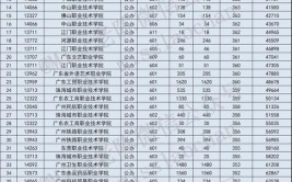 2024高考333分左右能上什么大学