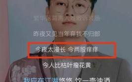 我可以(大叔会上才艺出人意料多面手)