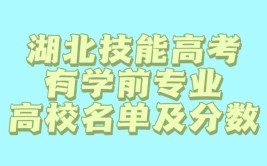 湖北技能高考能进哪些专科学校