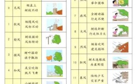 影响风力大小的因素及判断方法是什么