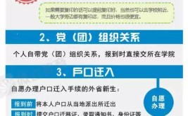 大学生报道准备什么