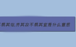 修其教不易其俗,齐其政不易其宜什么意思