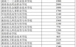 2024郴州职业技术学院单招学费多少钱一年