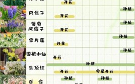 家庭园艺｜一年四季花园植物养护 值得收藏