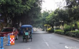 “秋老虎”上门！是时候揭秘什邡城区最大“室外空调”(秋老虎室外揭秘空调上门)