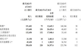 弘阳地产再扩张 斥资17亿接盘新城控股两大资产(万元股权新城地产公司)