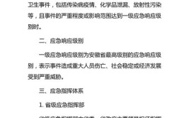 公共卫生一级应急响应是什么意思