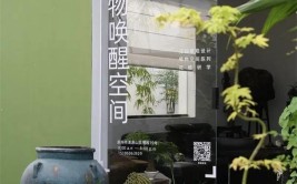 这家高端园艺店主打野性美一株植物能卖几千到数万元