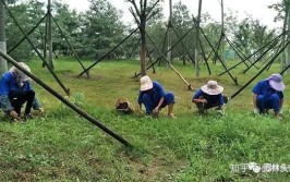 一年之计在于春南阳市市区河道管理处春季苗木养护开始啦