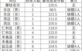 59分就能上岸攀枝花历年入面分数及备考指导