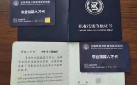 建筑信息模型技术BIM战略规划证怎么考