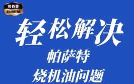 烧机油难题破解：大众帕萨特行驶中安全解决方案(机油帕萨特发动机大众车主)