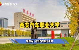 就业质量赢得社会认可(职业职业教育本科汽车大学)