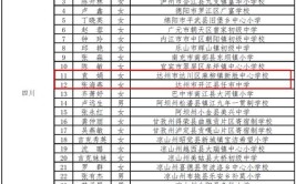 2020年乡村优秀青年教师培养奖励计划人选名单(小学学校初级中学镇中中学)