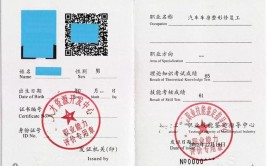 唐山市2021年想报考汽车钣金工证在哪里报名要什么条件(车身汽车钣金损伤碰撞)