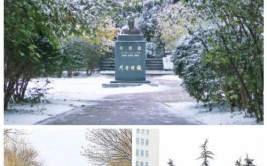 山东建筑大学项迎雪慢慢来比较快