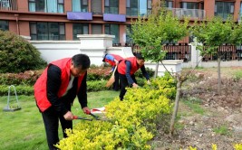 甘州区西街街道西站社区绿植修剪养护 美化居住环境